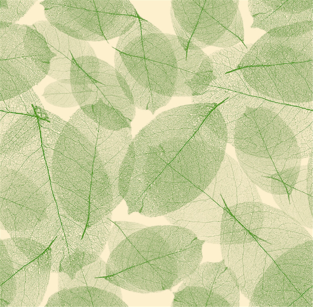 Petra 5207-4 Duvar Kağıdı