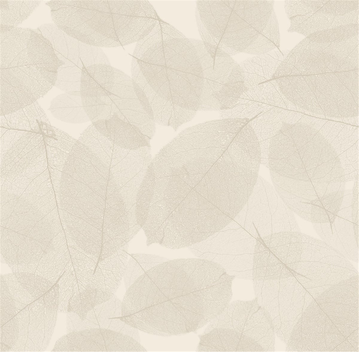 Petra 5207-5 Duvar Kağıdı