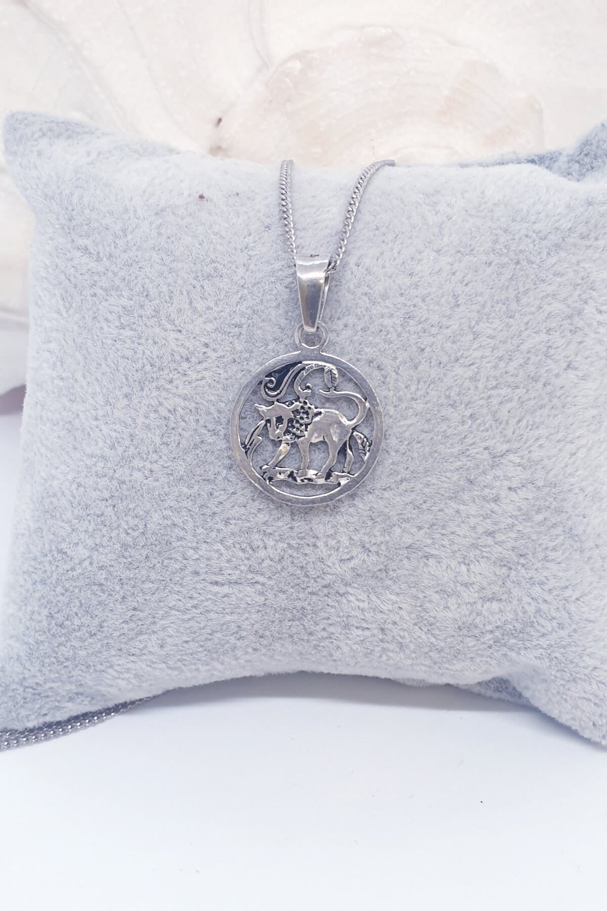 Gümüş Oğlak Burcu Kolyesi