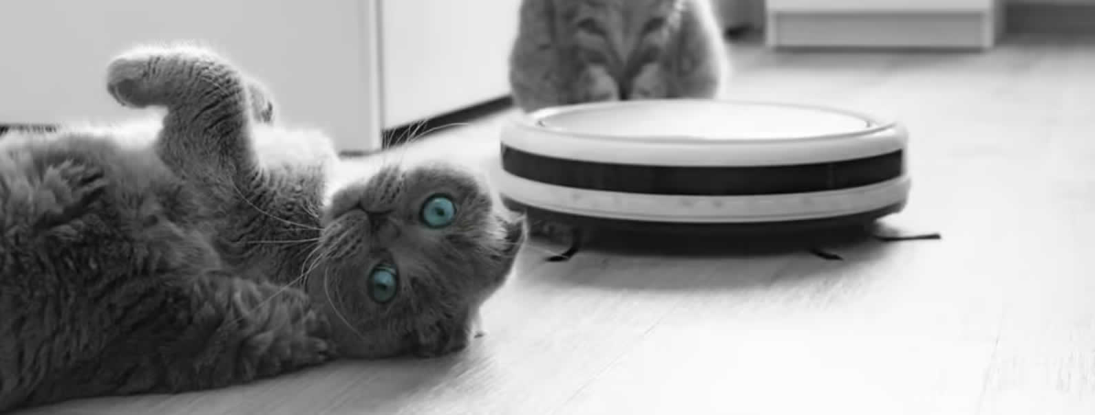 robot süpürge yedek parçaları