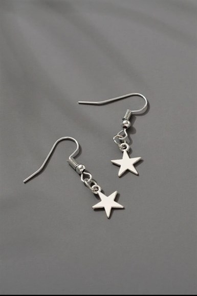 Tiny Gray Star Küpe