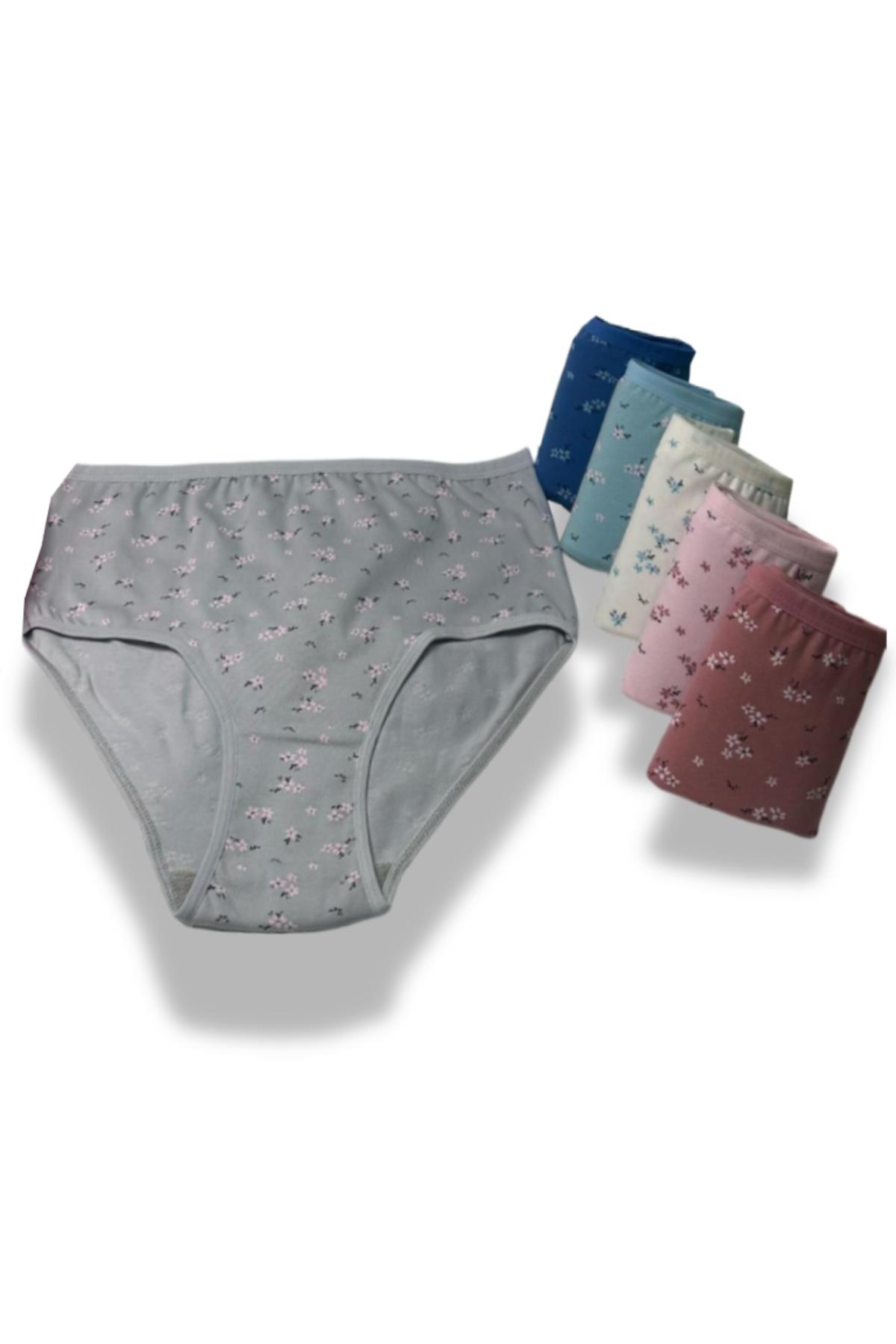 Kadın 6 lı Pamuklu Likralı Havlu Ağ Detaylı Yüksek Bel Külot Seti 2186