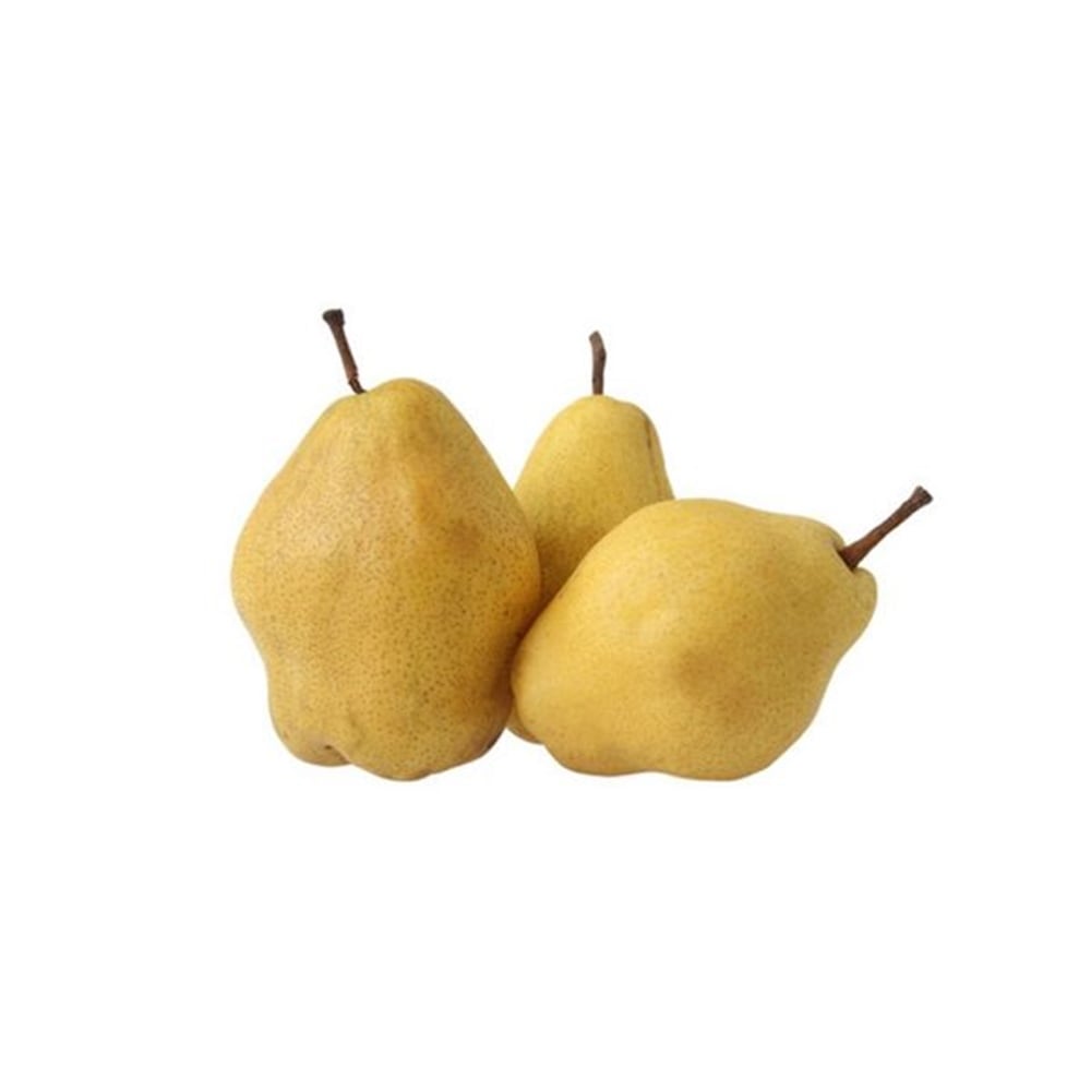 Armut Margarit Kg