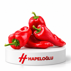 SebzeBiber Kırmızı Kapya Kg