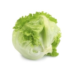 Göbek Marul (Aysberg) Kg