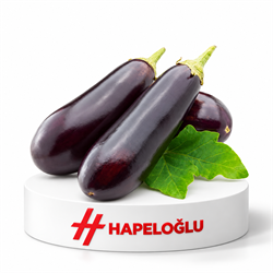 SebzePatlıcan Kg