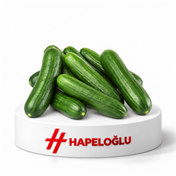 SebzeSalatalık Kg