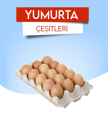 yumurta