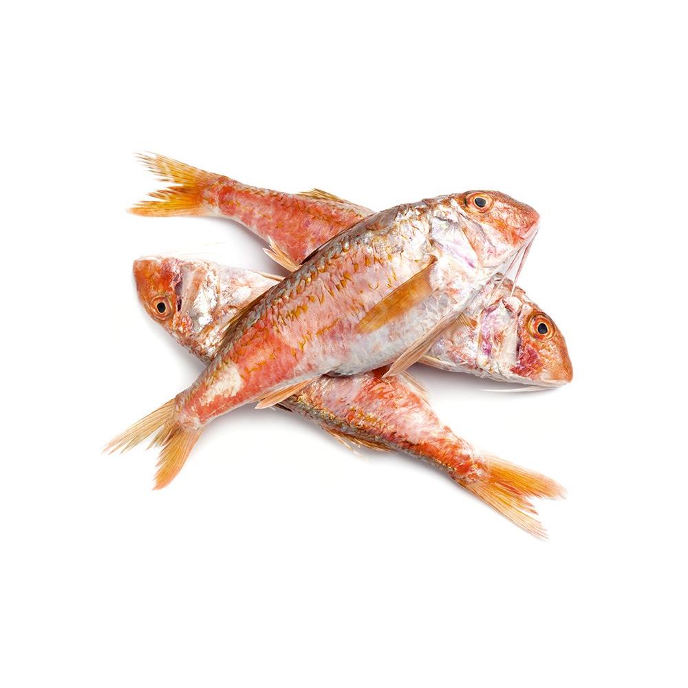 Barbun Kg