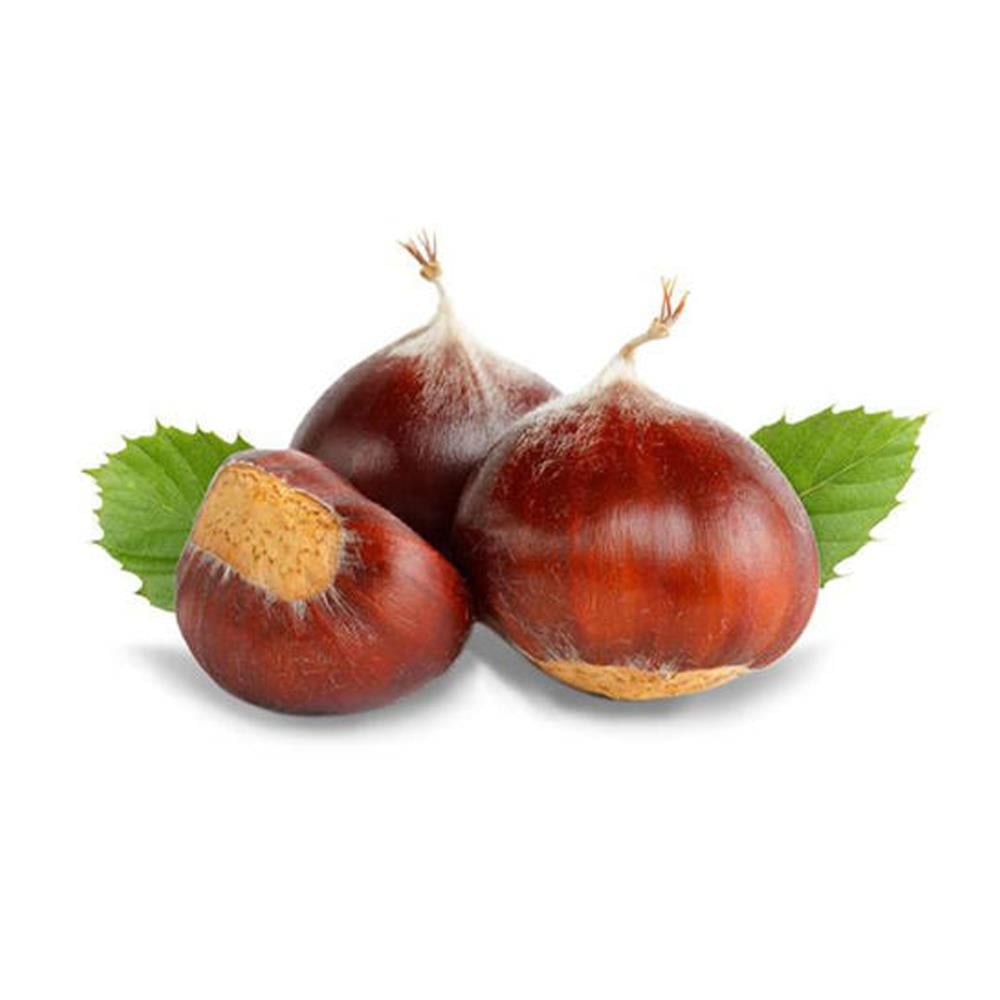 MeyveBursa Duble Kestane Kg