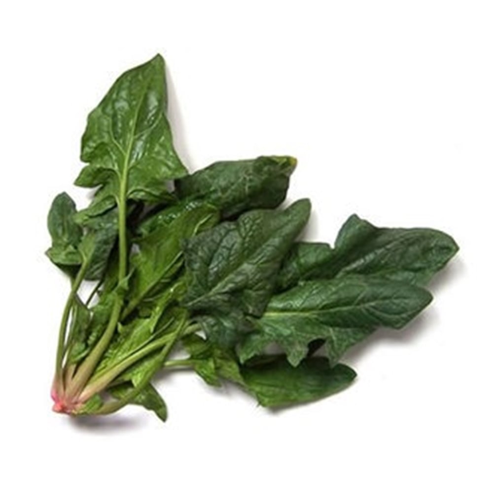 Ispanak Kg