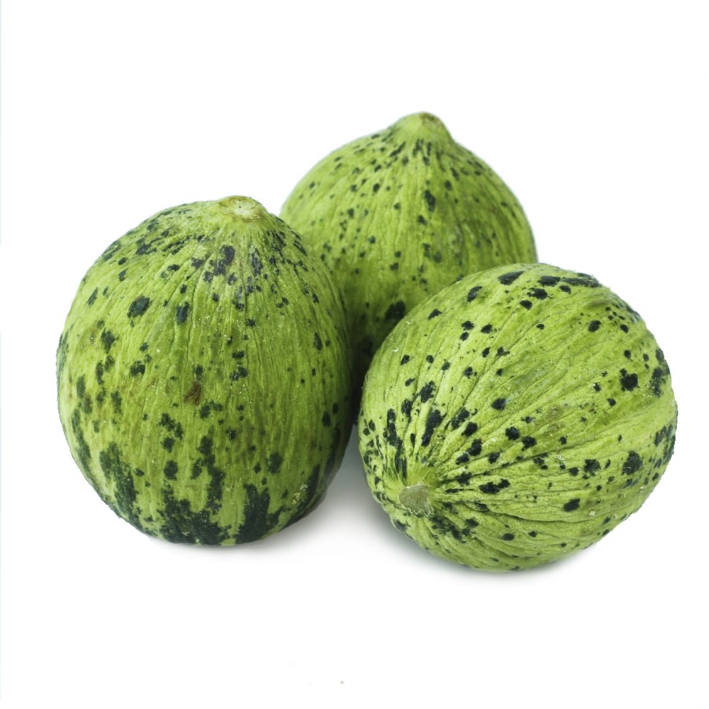 Kelek Kg