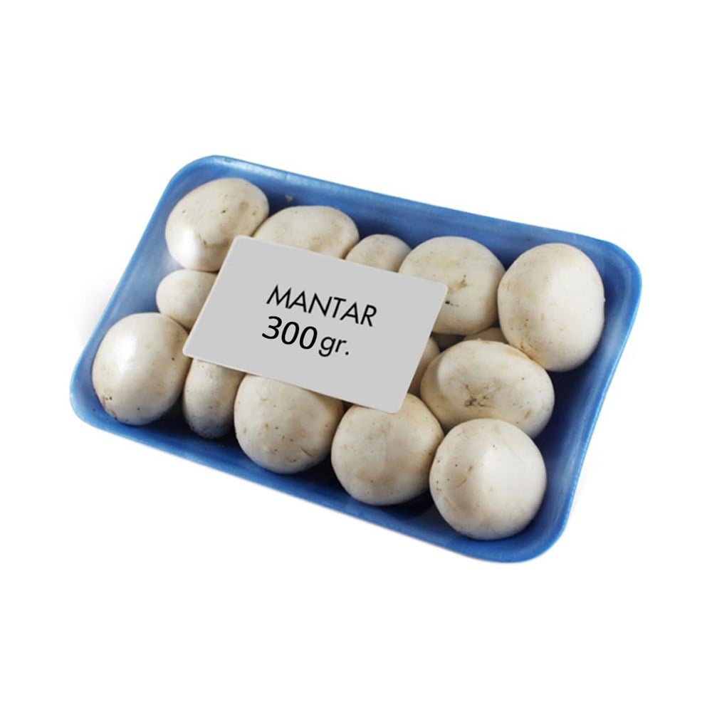 Paket Mantar