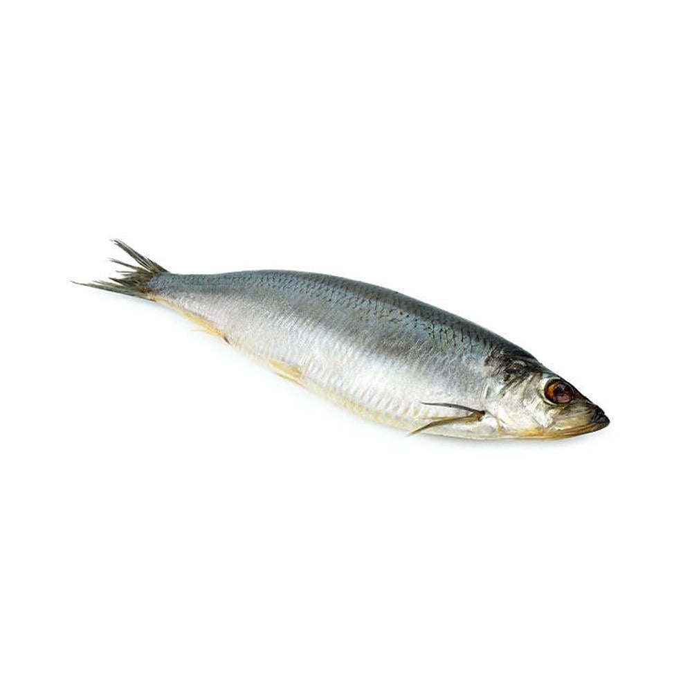 Tırsi Kg