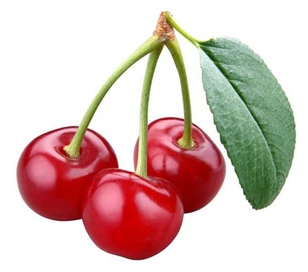 Vişne Kg.