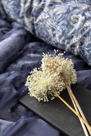 Apricitas Çift Kişilik My Touch Nevresim  Takımı Antıca Indıgo