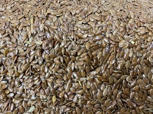 Keten Tohumu 250gr