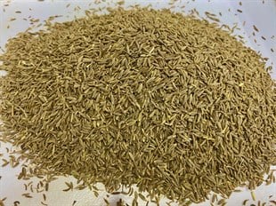 Kimyon (Tüm) 250gr