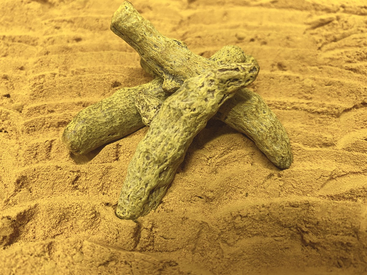 Zerdeçal (Öğütülmüş) 250gr