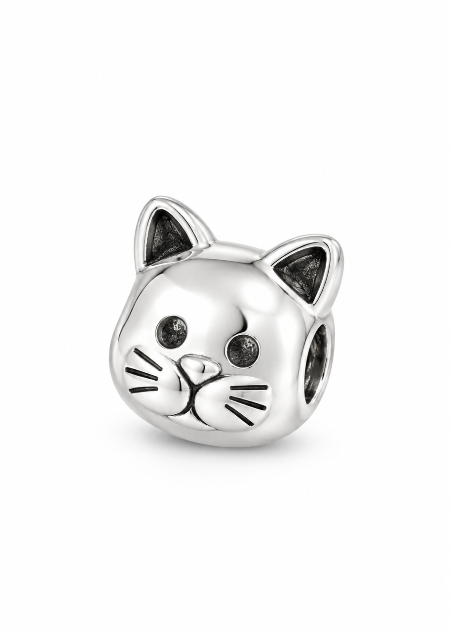 Meraklı Kedi Charm
