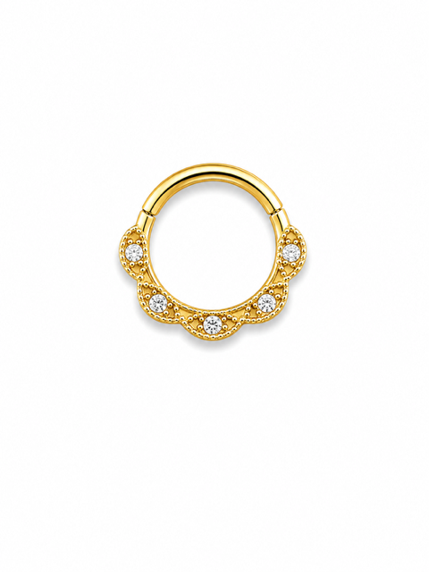 Premium Titanyum Halka Piercing