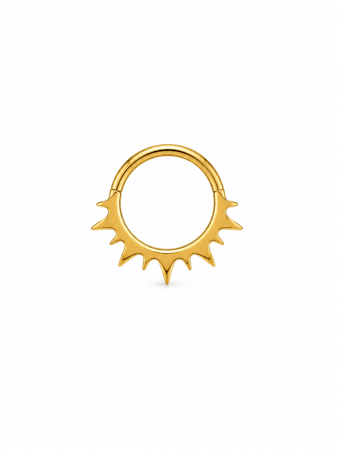 Premium Titanyum Halka Piercing