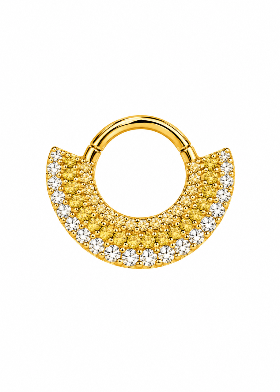 Premium Cerrahi Halka Piercing