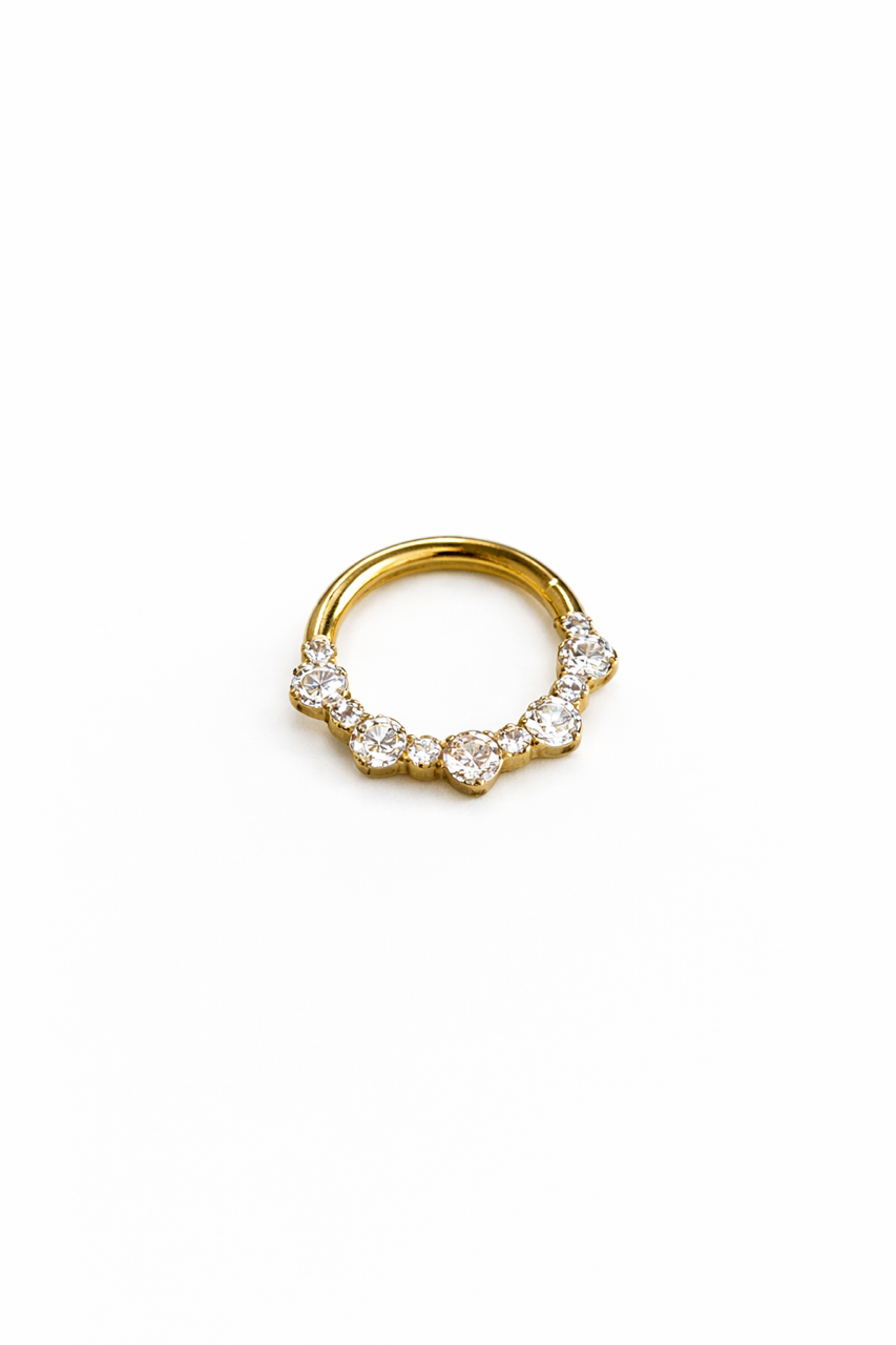 Premium Titanyum Halka Piercing
