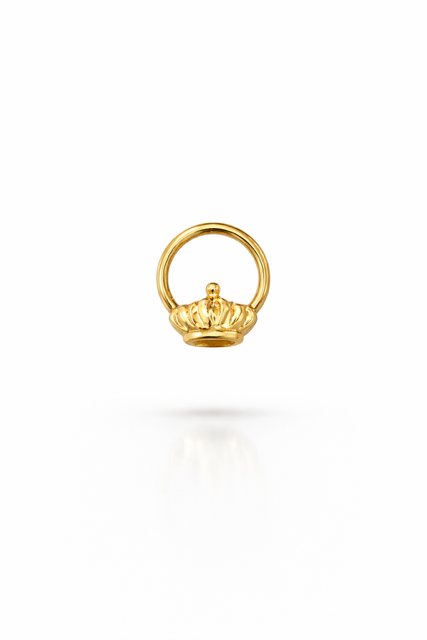 Premium Titanyum Halka Piercing