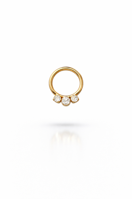 Premium Titanyum Halka Piercing