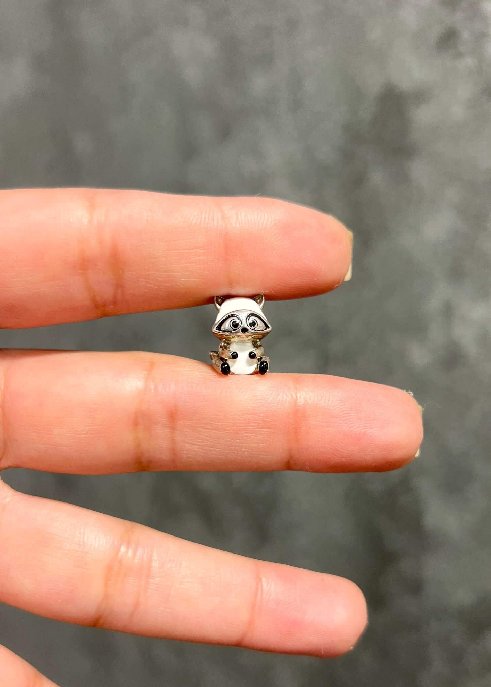Rakun Charm