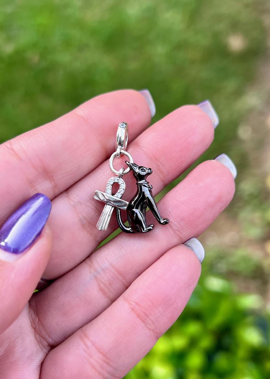 Sevimli Kedi Charm