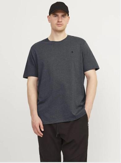 JACK&JONES Erkek JJEPAULOS TEE CREW NECK NOOS PLS 12253778