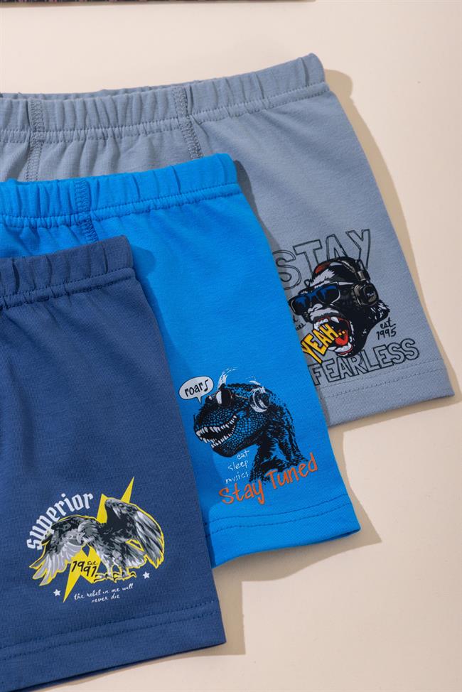 Erkek Çocuk Pamuklu Baskılı Rahat Kesim Likralı Boxer 3'lü Paket 3568 Renkli