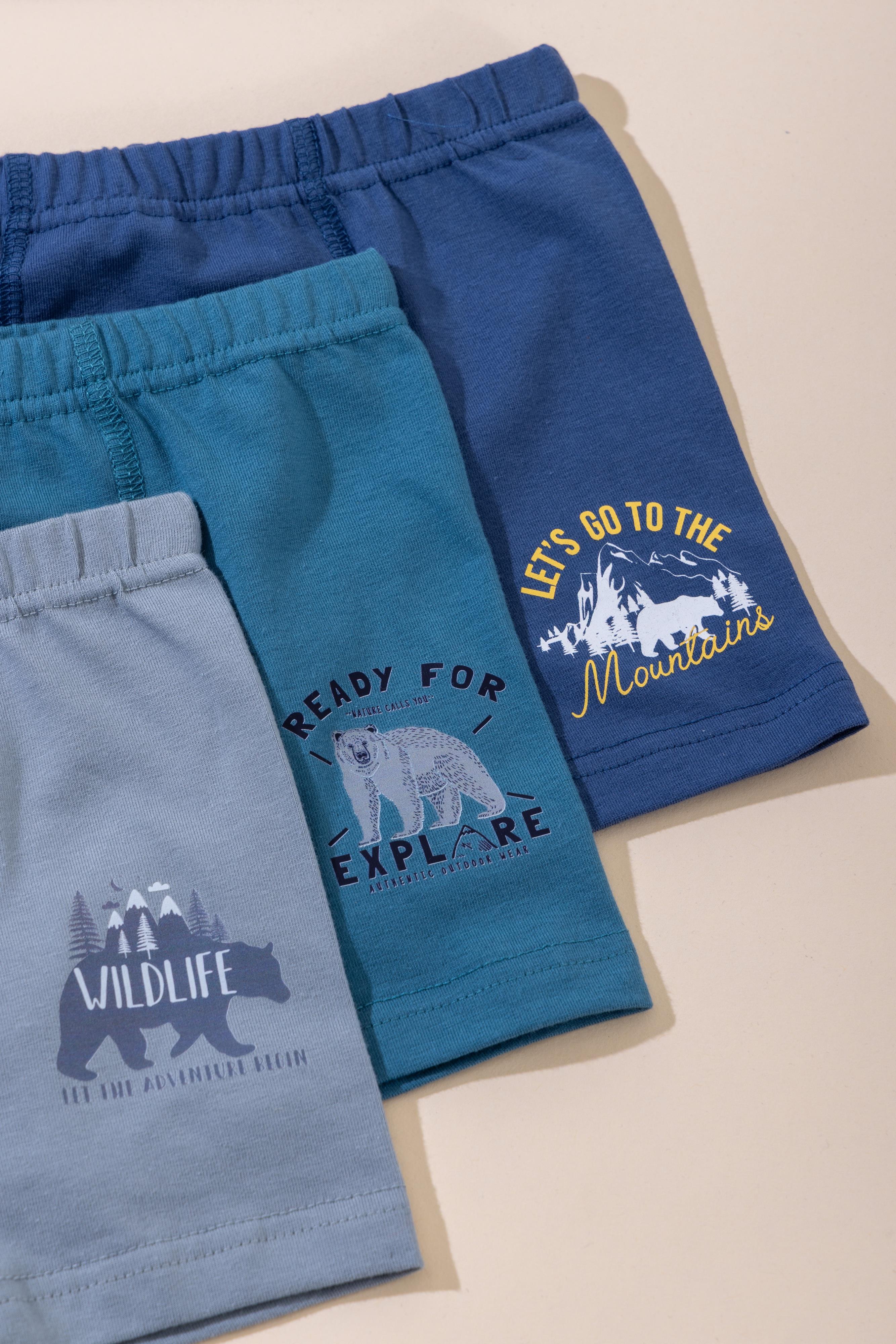 Erkek Çocuk Pamuklu Baskılı Rahat Kesim Likralı Boxer 3'lü Paket 3554 Renkli