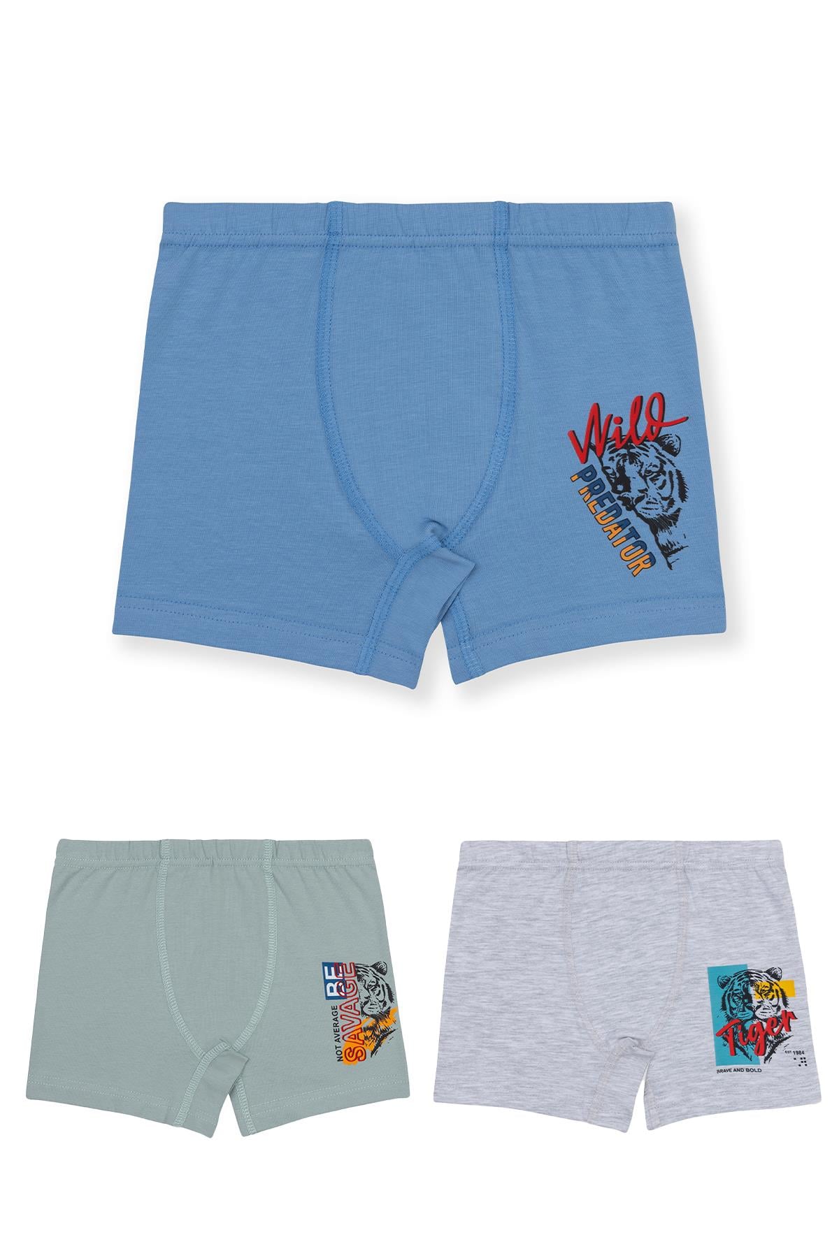 Erkek Çocuk Pamuklu Likralı Renkli Baskılı Boxer 3'lü Paket 3512 Renkli