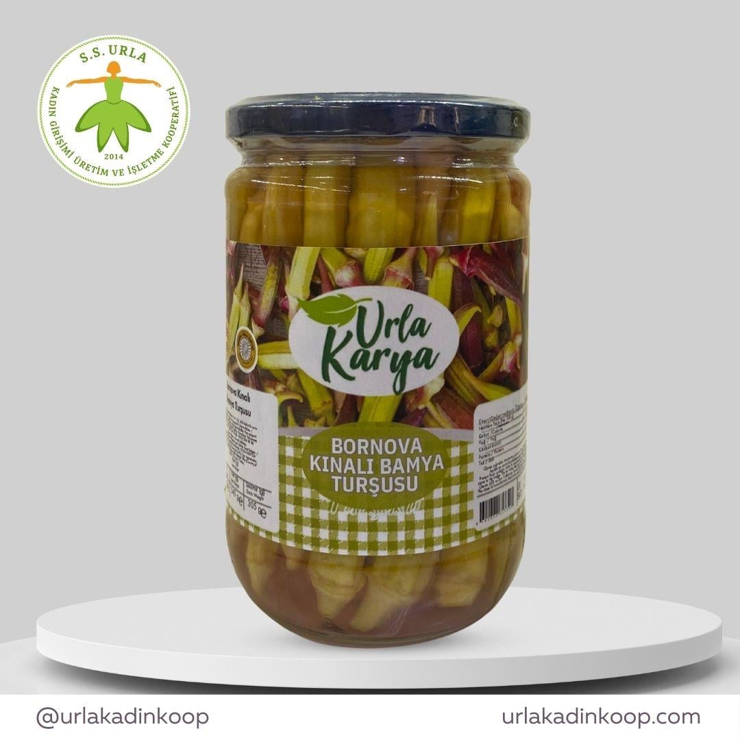 BAMYA TURŞUSU 600 CC