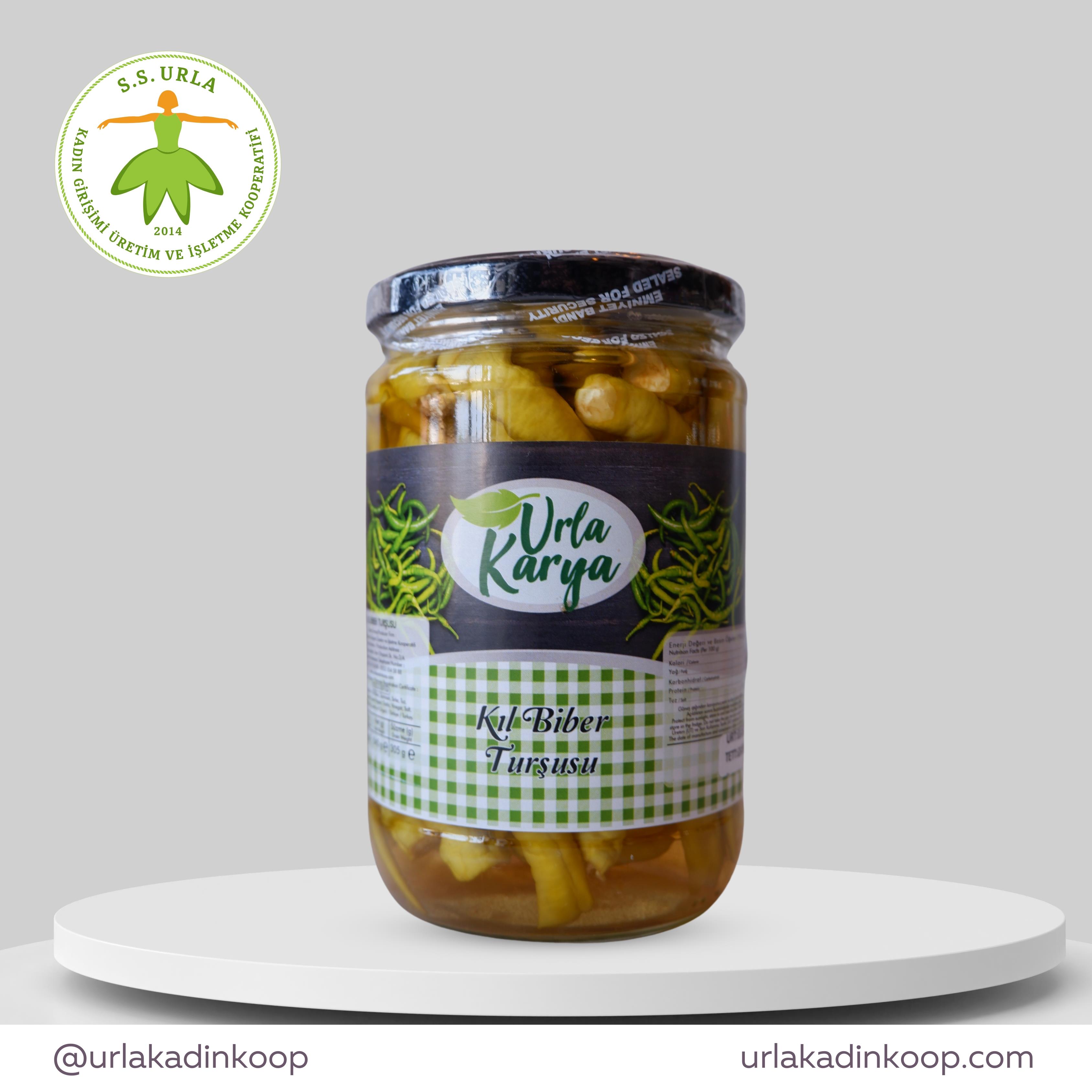 Biber Turşusu 500 GR