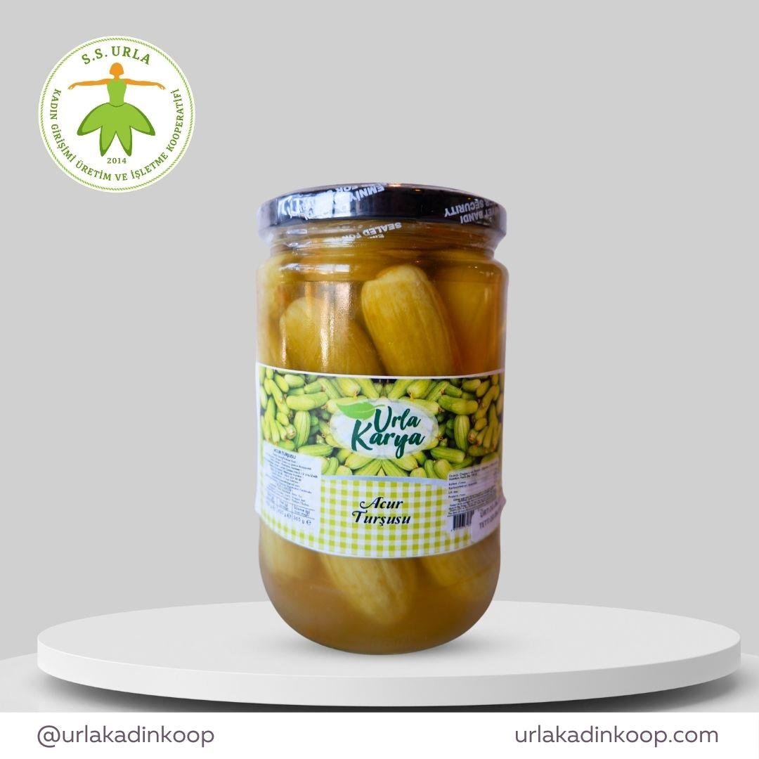 ACUR TURŞUSU 660gr