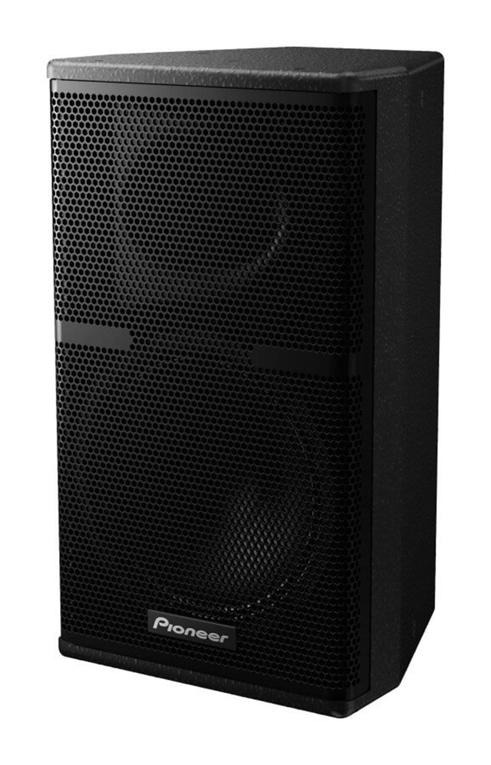 Pioneer Pro Audio XY-101 10 İnç 2 Yollu Hoparlör