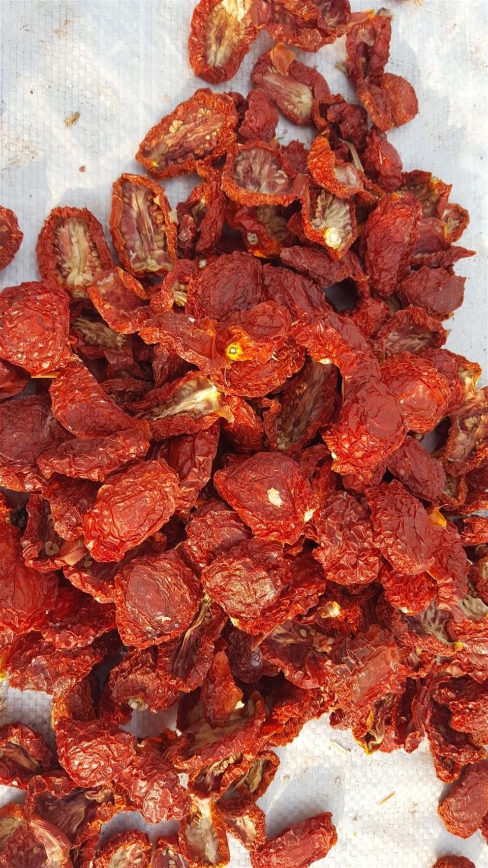 Dökme - Güneşte Kurutulmuş Domates Yarımları