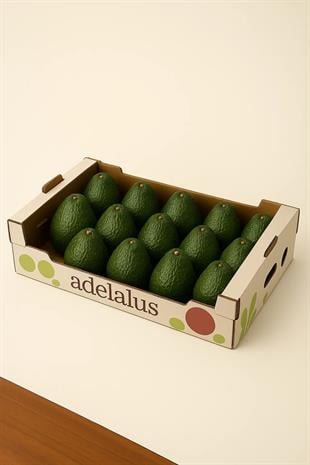 Avokado