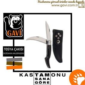 TOSYA_CAKISI