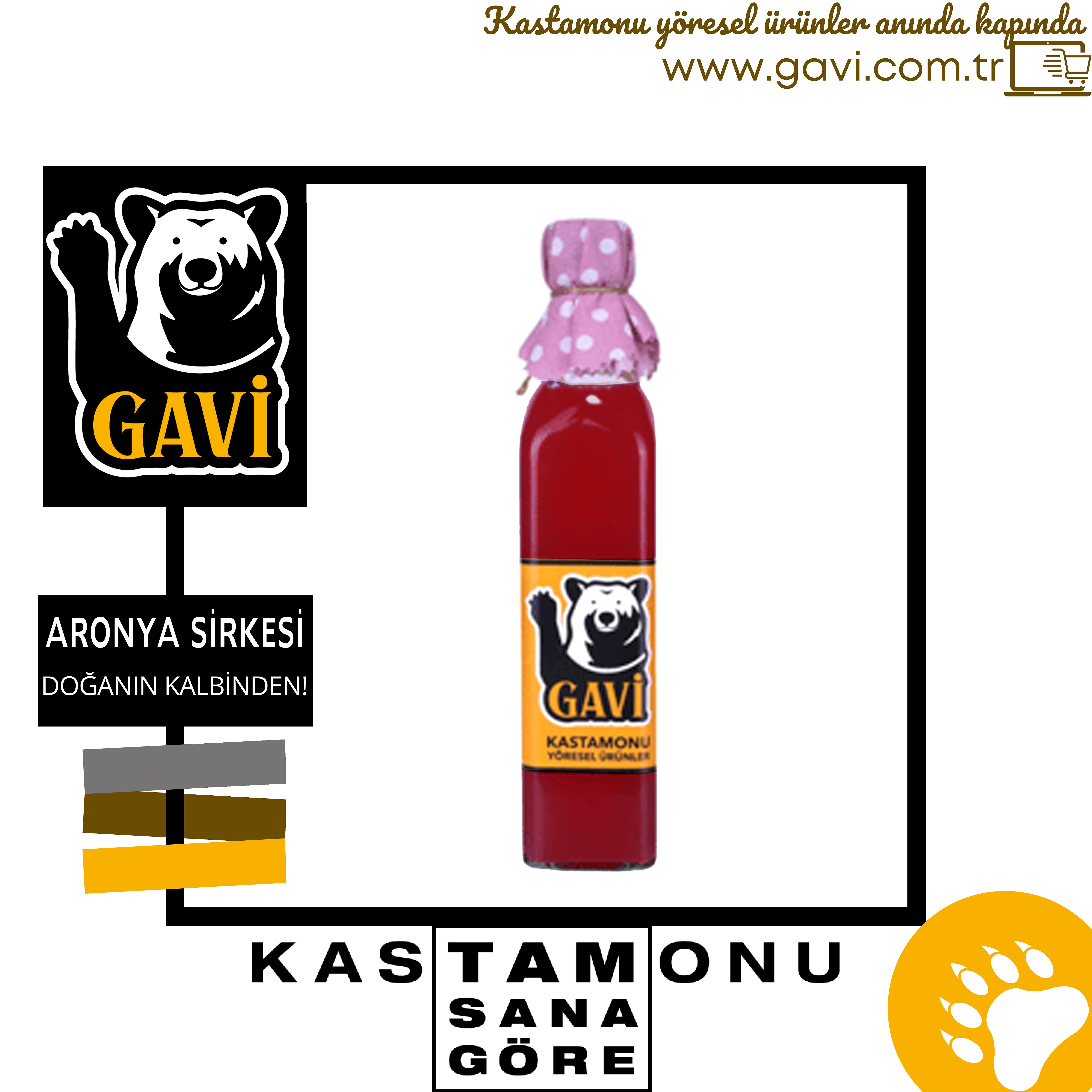 Gavi  Aronya Sirkesi
