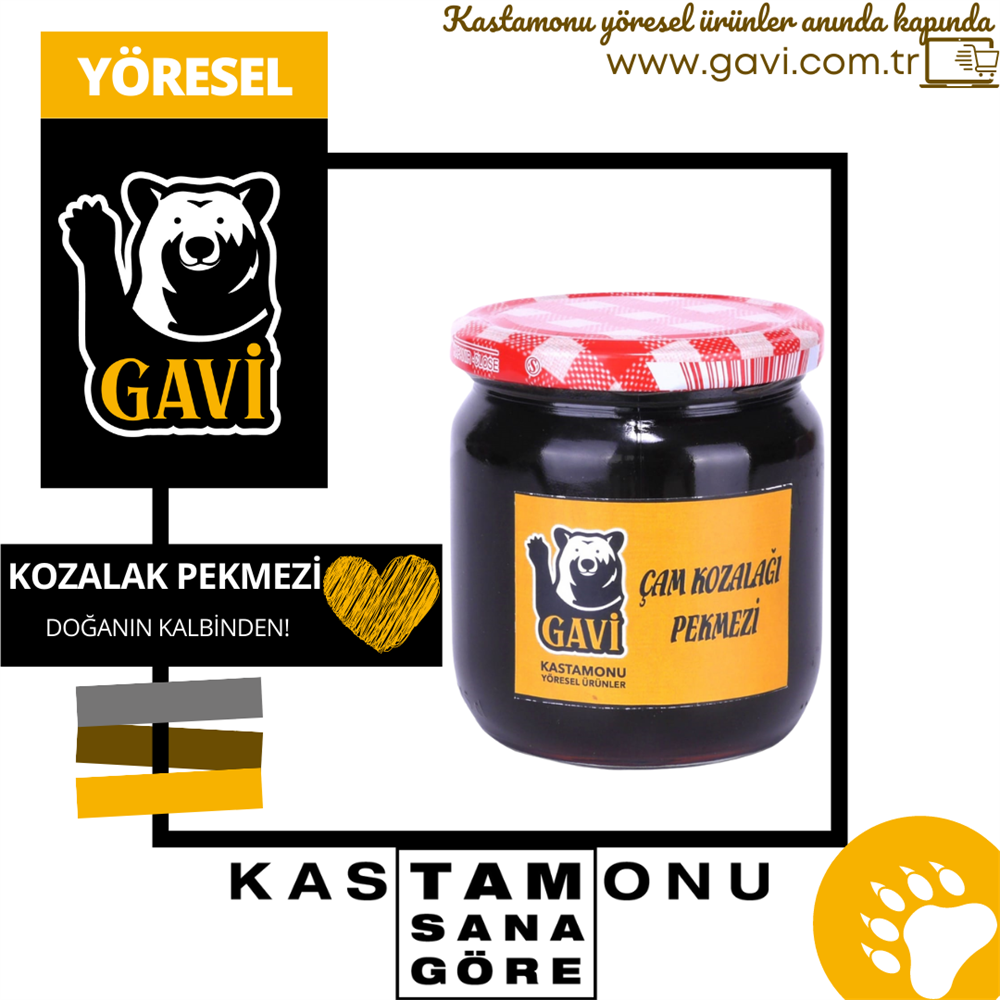 Gavi Çam Kozalağı Pekmezi  500 gr