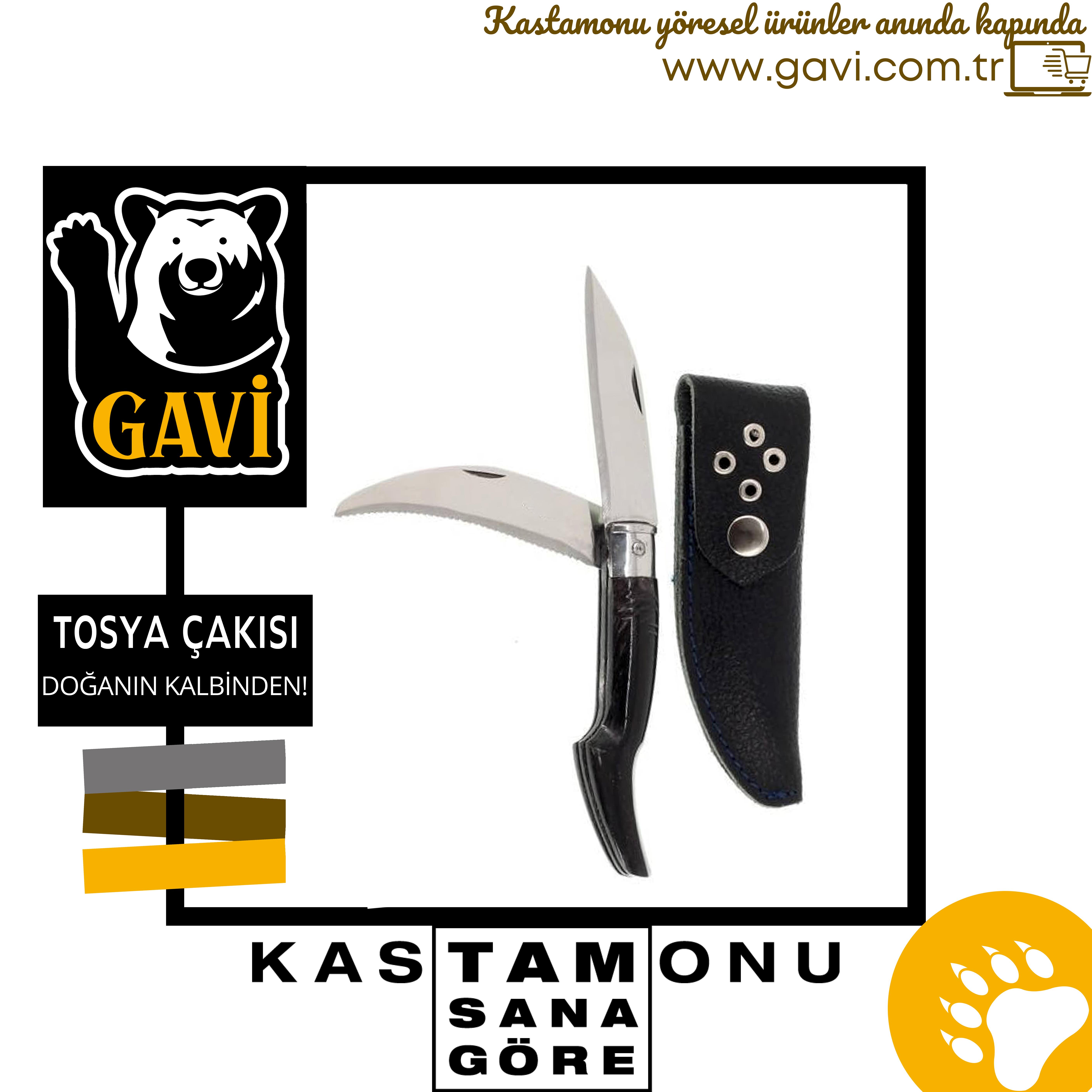 TOSYA_CAKISI