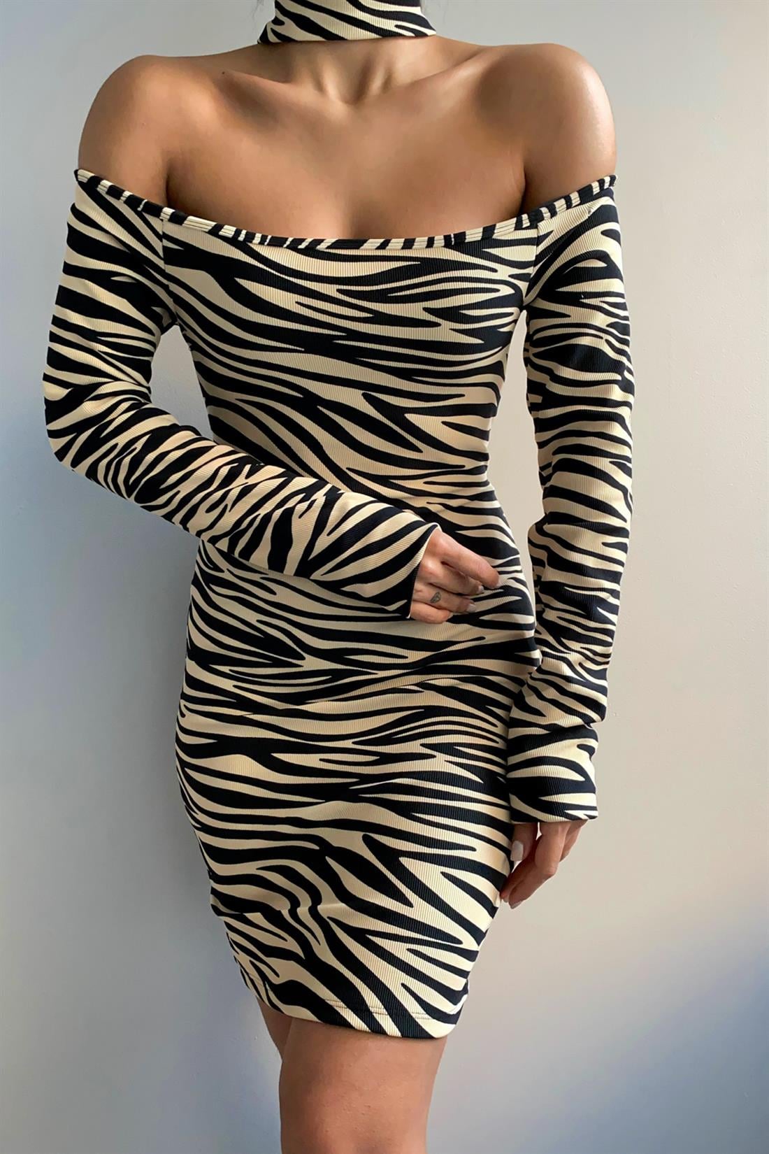 İki Omzu Açık Zebra Desen Elbise BEJ
