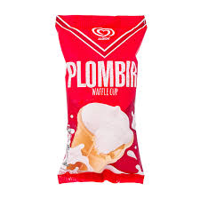 ALGİDA PLOMBIR WAFFLE CUP 120ML