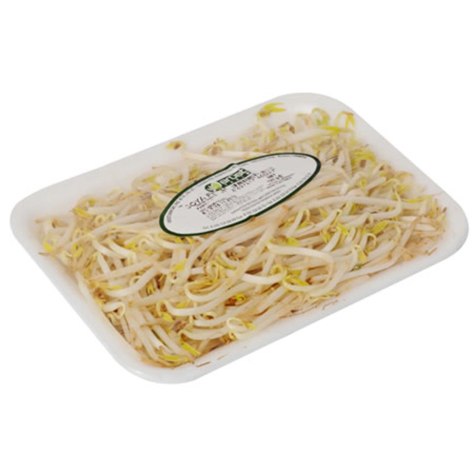 SOYA FİLİZİ 125GR PKT.