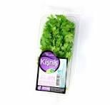 KİŞNİŞ PAKET 25GR